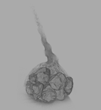 1617074232694062.png 元宵333.png