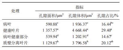 1617255207527841.png 黄瓜555.png